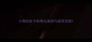 小狗拉肚子的常见原因与症状识别