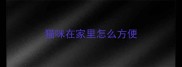 猫咪在家里怎么方便