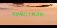 雪纳瑞几个月返灰