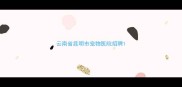 云南省昆明市宠物医院招聘