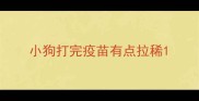 小狗打完疫苗有点拉稀