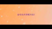 金毛幼犬保暖方法