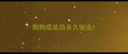 狗狗疫苗后多久驱虫
