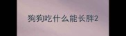 狗狗吃什么能长胖