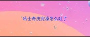 哈士奇洗完澡怎么吐了