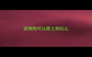 宠物狗可以跟土狗玩么