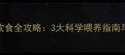 小狗对虾饮食全攻略3大科学喂养指南与安全隐患