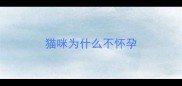 猫咪为什么不怀孕