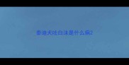 泰迪犬吐白沫是什么病