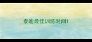 泰迪最佳训练时间