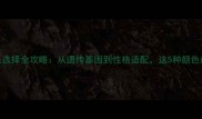 陨石边牧毛色选择全攻略从遗传基因到性格适配这5种颜色最值得推荐