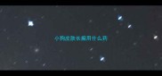 小狗皮肤长癣用什么药