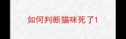 如何判断猫咪死了