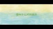 猫咪什么时间刷牙