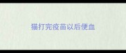 猫打完疫苗以后便血