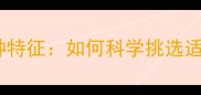 最可爱的小狗品种特征如何科学挑选适合家庭的萌宠