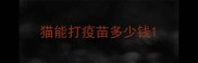 猫能打疫苗多少钱