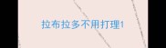 拉布拉多不用打理