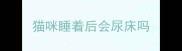 猫咪睡着后会尿床吗