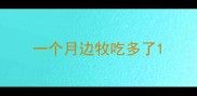 一个月边牧吃多了