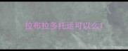 拉布拉多托运可以么