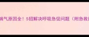 小狗喘气原因全5招解决呼吸急促问题附急救指南