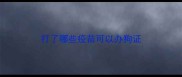 打了哪些疫苗可以办狗证