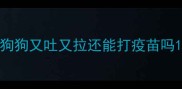 狗狗又吐又拉还能打疫苗吗