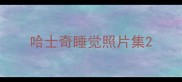 哈士奇睡觉照片集