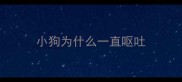 小狗为什么一直呕吐