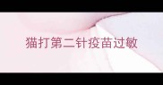 猫打第二针疫苗过敏
