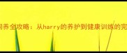 哈士奇饲养全攻略从harry的养护到健康训练的完整指南