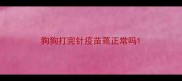 狗狗打完针疫苗蔫正常吗