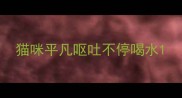 猫咪平凡呕吐不停喝水