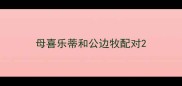 母喜乐蒂和公边牧配对