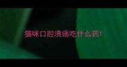 猫咪口腔溃疡吃什么药
