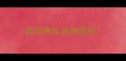 贵阳康乐宠物医院