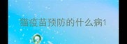 猫疫苗预防的什么病