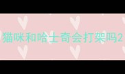 猫咪和哈士奇会打架吗