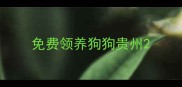 免费领养狗狗贵州