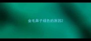 金毛鼻子褪色的原因
