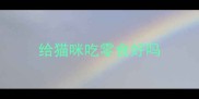 给猫咪吃零食好吗