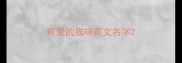 可爱的猫咪英文名字
