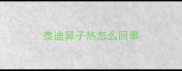 泰迪鼻子热怎么回事