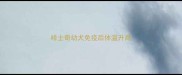哈士奇幼犬免疫后体温升高