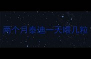 两个月泰迪一天喂几粒