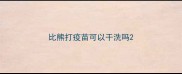 比熊打疫苗可以干洗吗