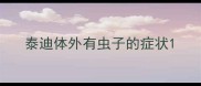 泰迪体外有虫子的症状