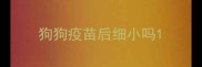 狗狗疫苗后细小吗