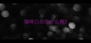 猫咪口炎吃什么粮